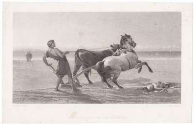 Ulysses Ploughing the Shore